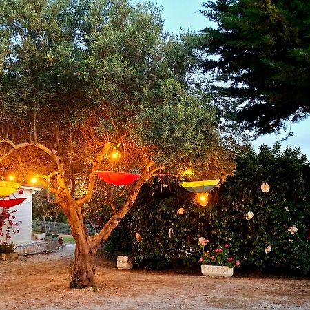 Mirella Charming Bed & Breakfast Алберобело Екстериор снимка