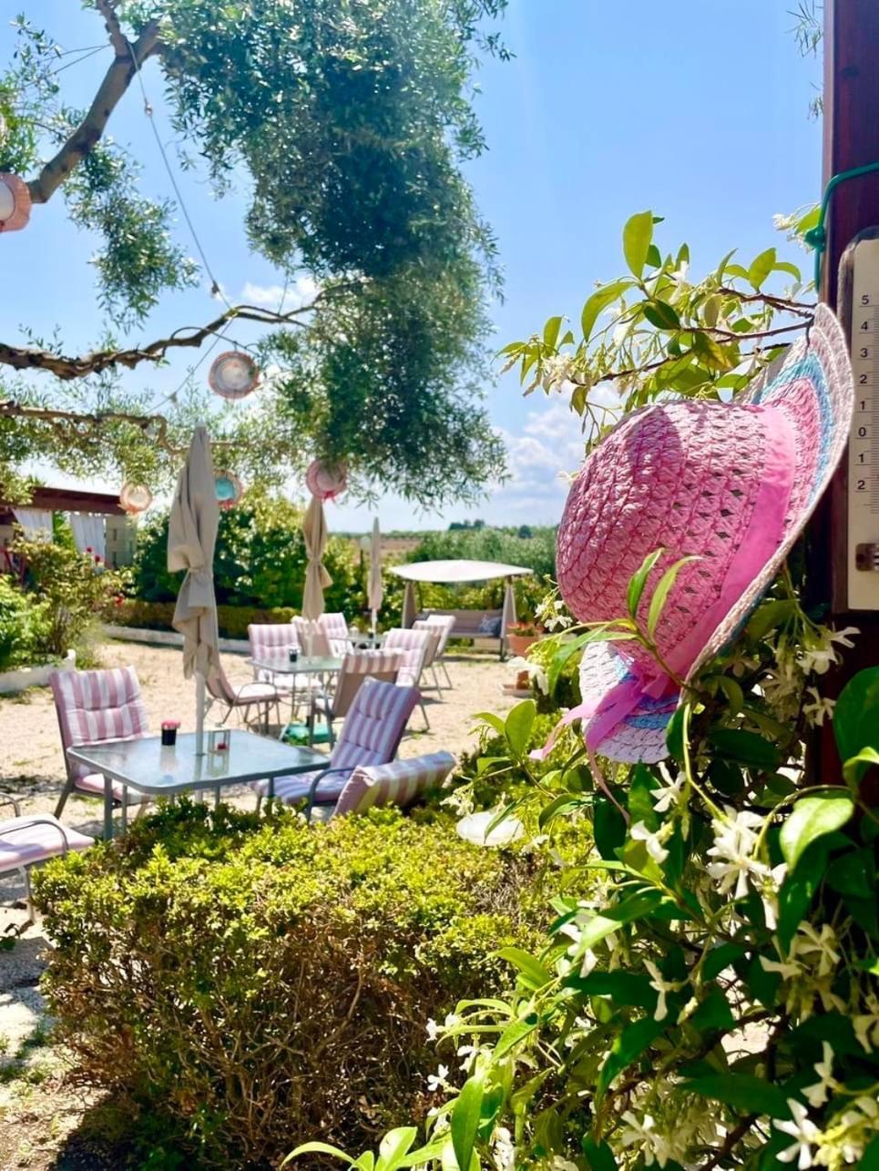 Mirella Charming Bed & Breakfast Алберобело Екстериор снимка