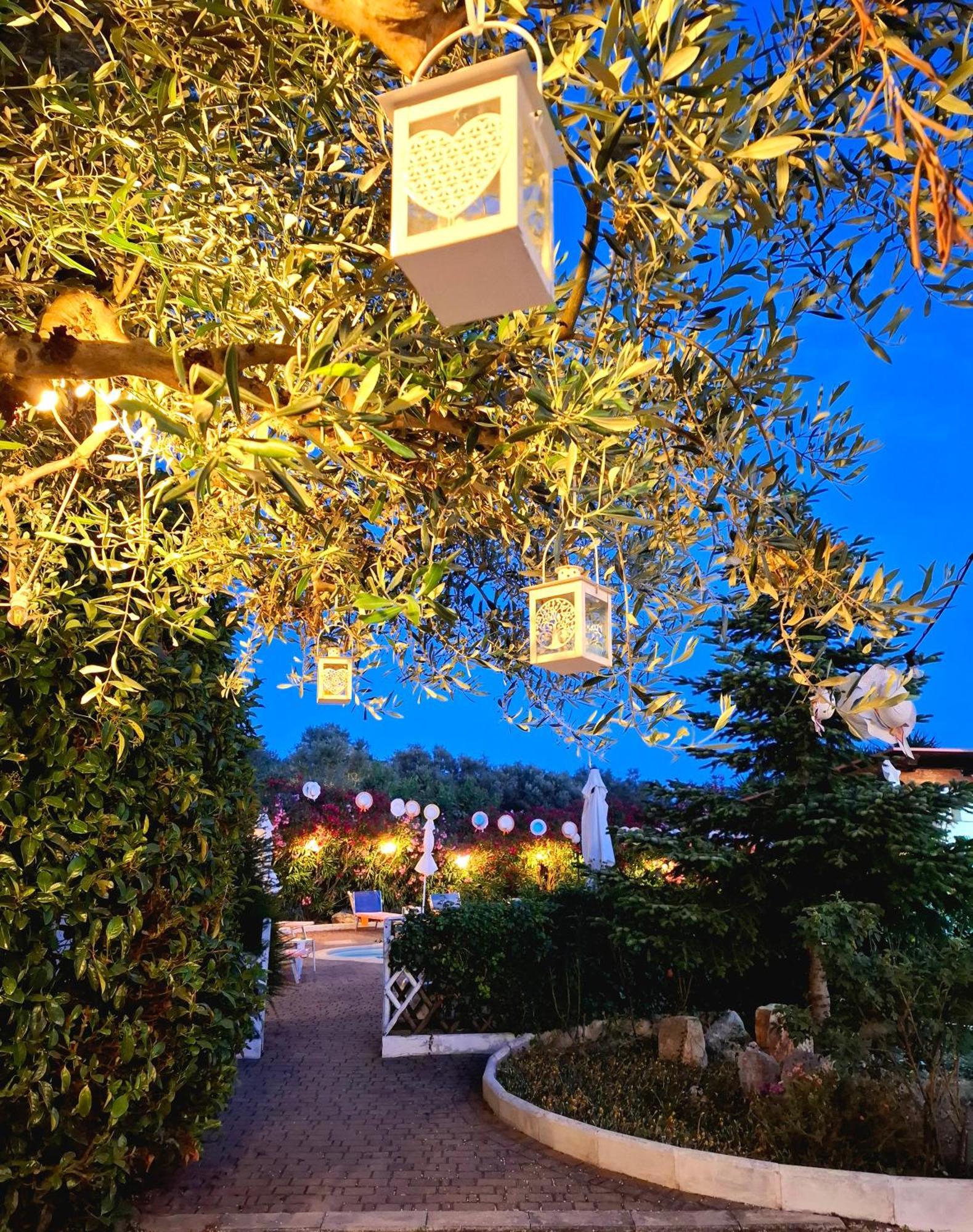 Mirella Charming Bed & Breakfast Алберобело Екстериор снимка