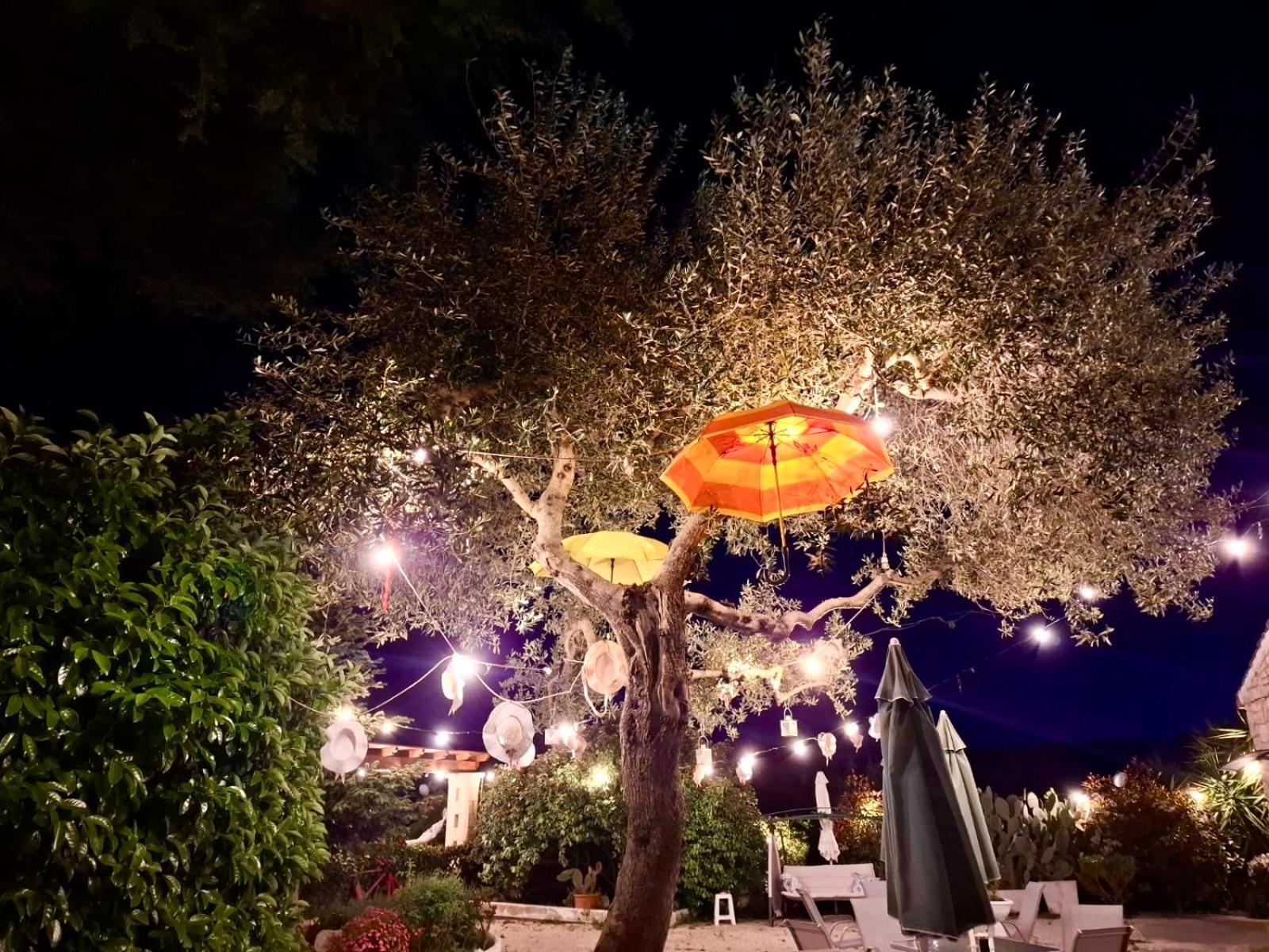 Mirella Charming Bed & Breakfast Алберобело Екстериор снимка
